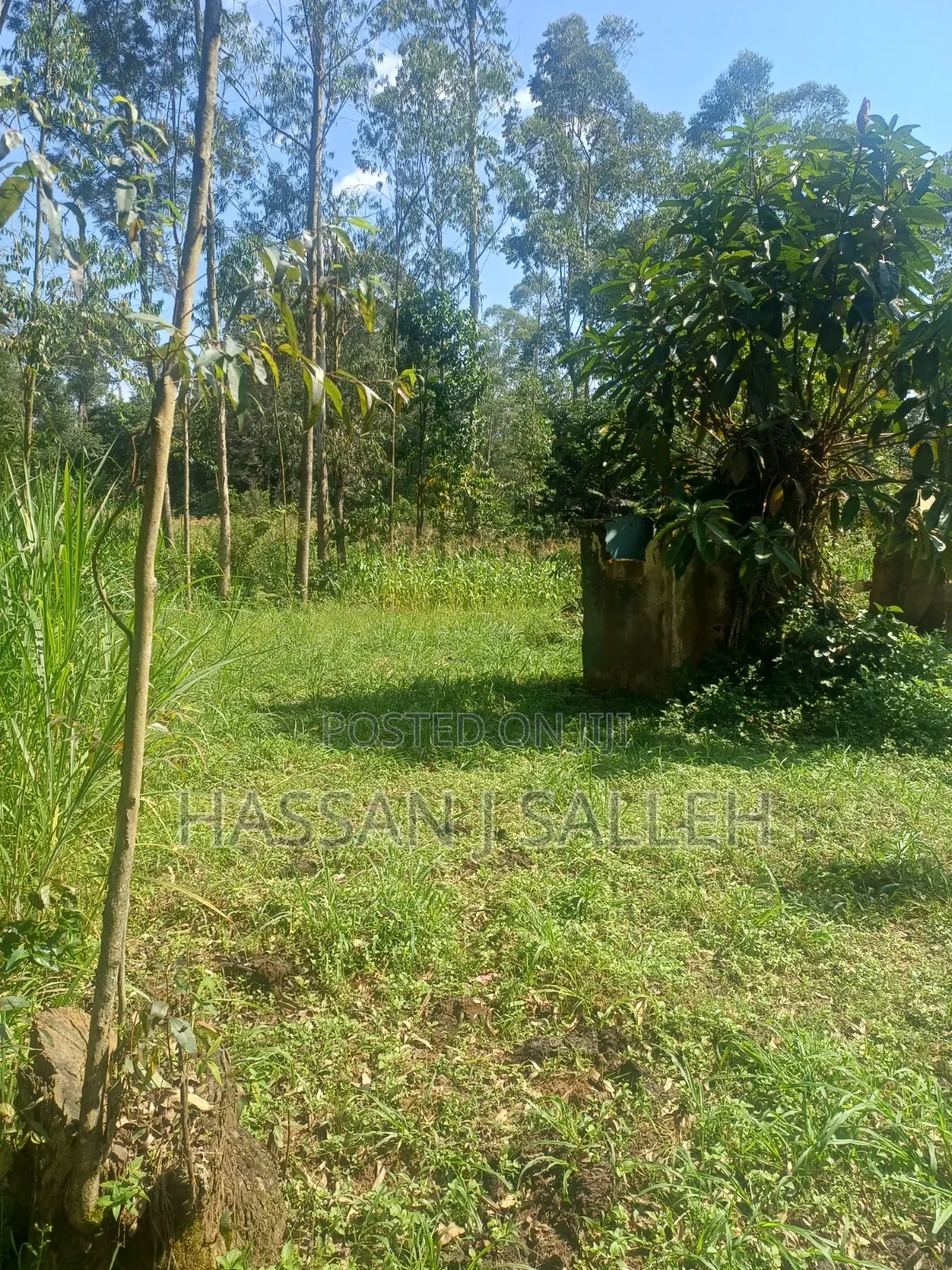 1acre Khwisero on Sale.