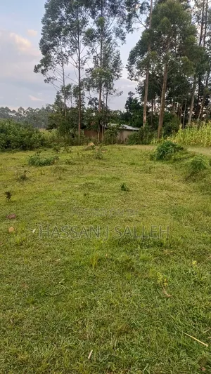 4 Acres Mukumu
