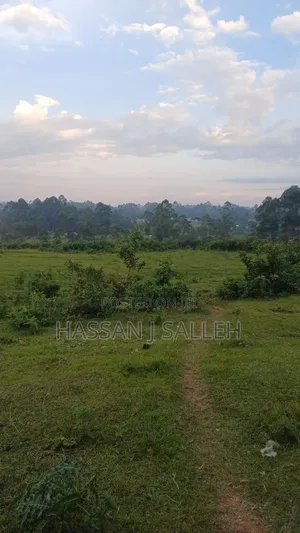 4 Acres Mukumu