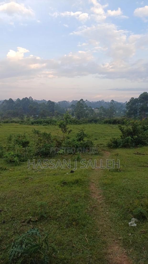 4 Acres Mukumu - thumbnail 2