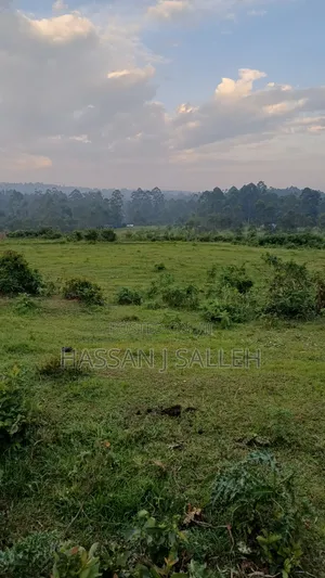 4 Acres Mukumu