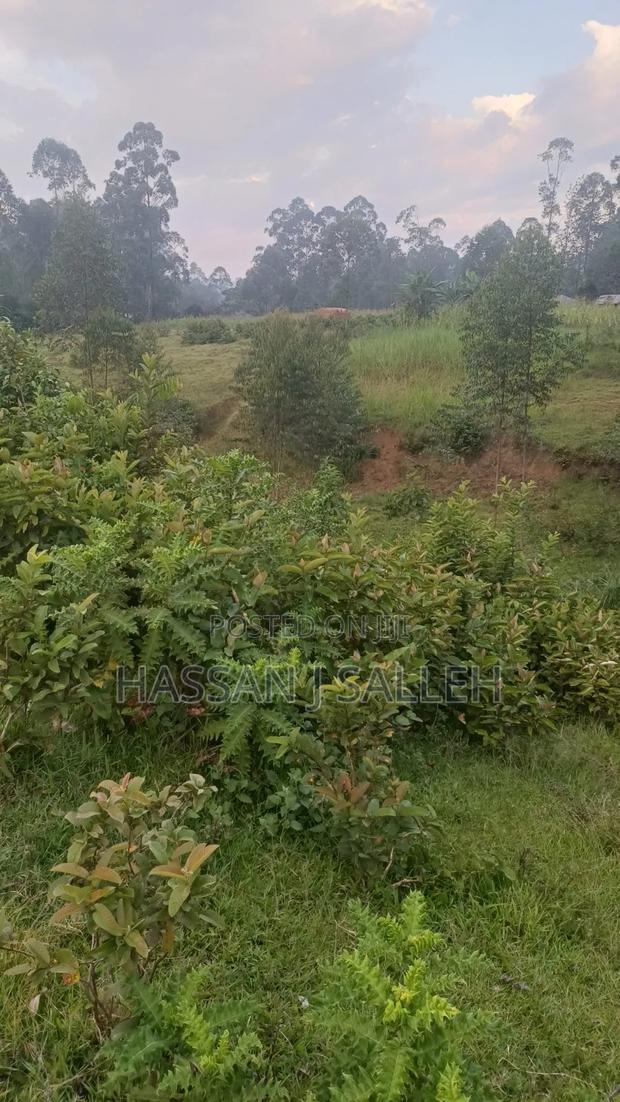 4 Acres Mukumu - thumbnail 4