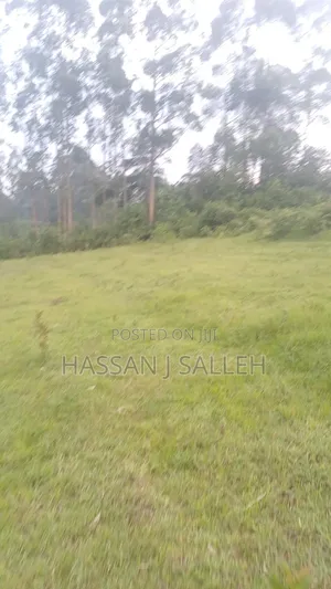 4 Acres Mukumu