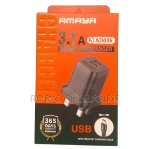 Fast Charger