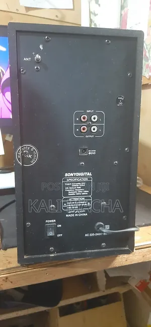 Sony Digital Woofer