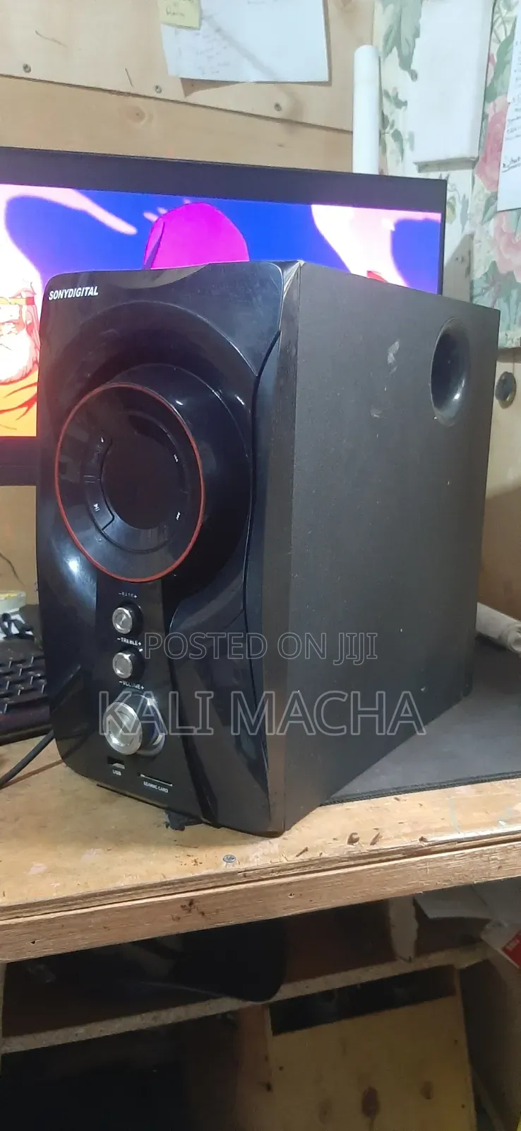 Sony Digital Woofer