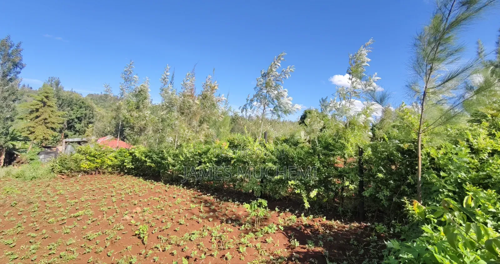 40*80 Plot in Kenol Kagaa