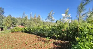 40*80 Plot in Kenol Kagaa