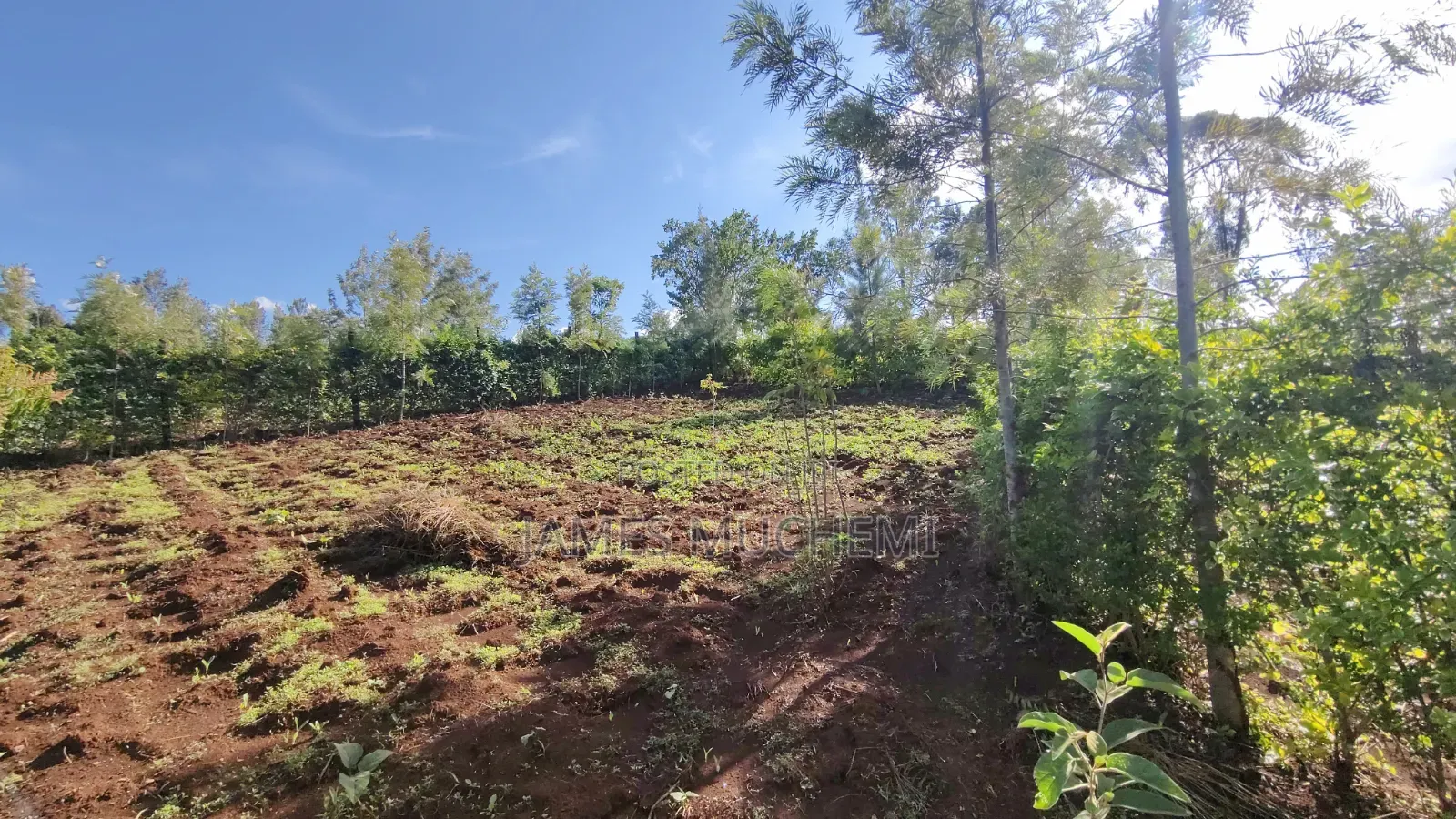 40*80 Plot in Kenol Kagaa