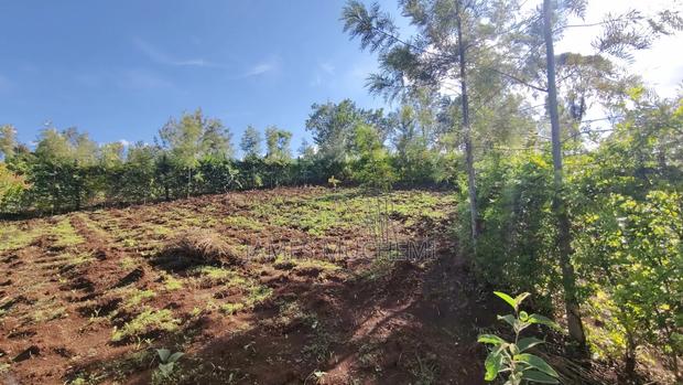 40*80 Plot in Kenol Kagaa - thumbnail 3