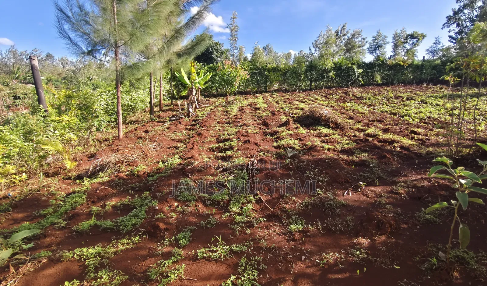 40*80 Plot in Kenol Kagaa