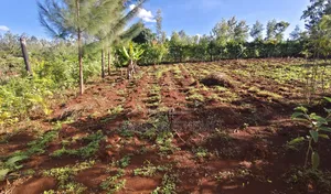 40*80 Plot in Kenol Kagaa