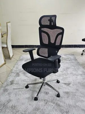 Mesh Orthopedic Office Chair