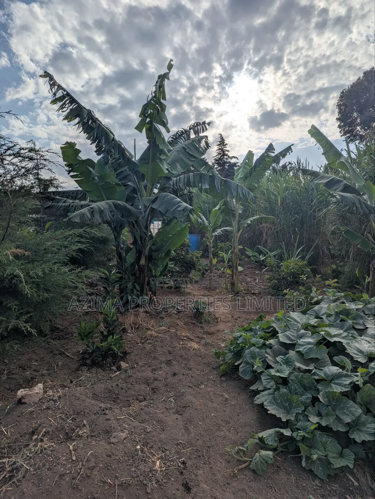 Fully Serviced Prime 1/8 Acre Plots.