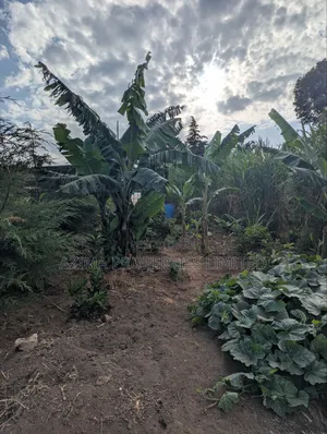 Fully Serviced Prime 1/8 Acre Plots.