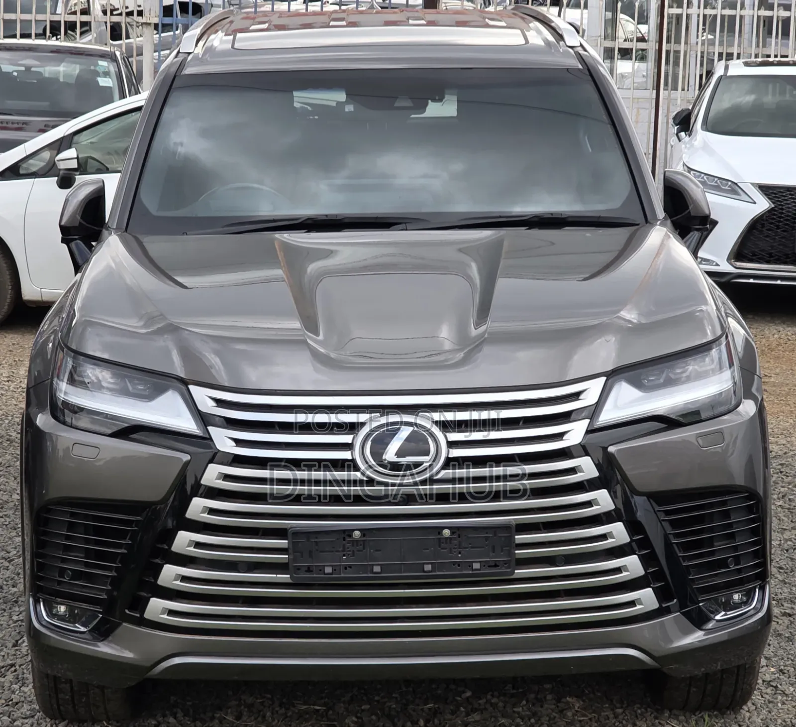 Lexus LX 500d 2022 Gray