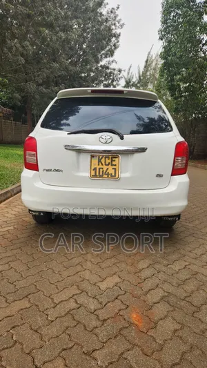 Toyota Corolla Fielder 2009 White