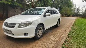 Toyota Corolla Fielder 2009 White