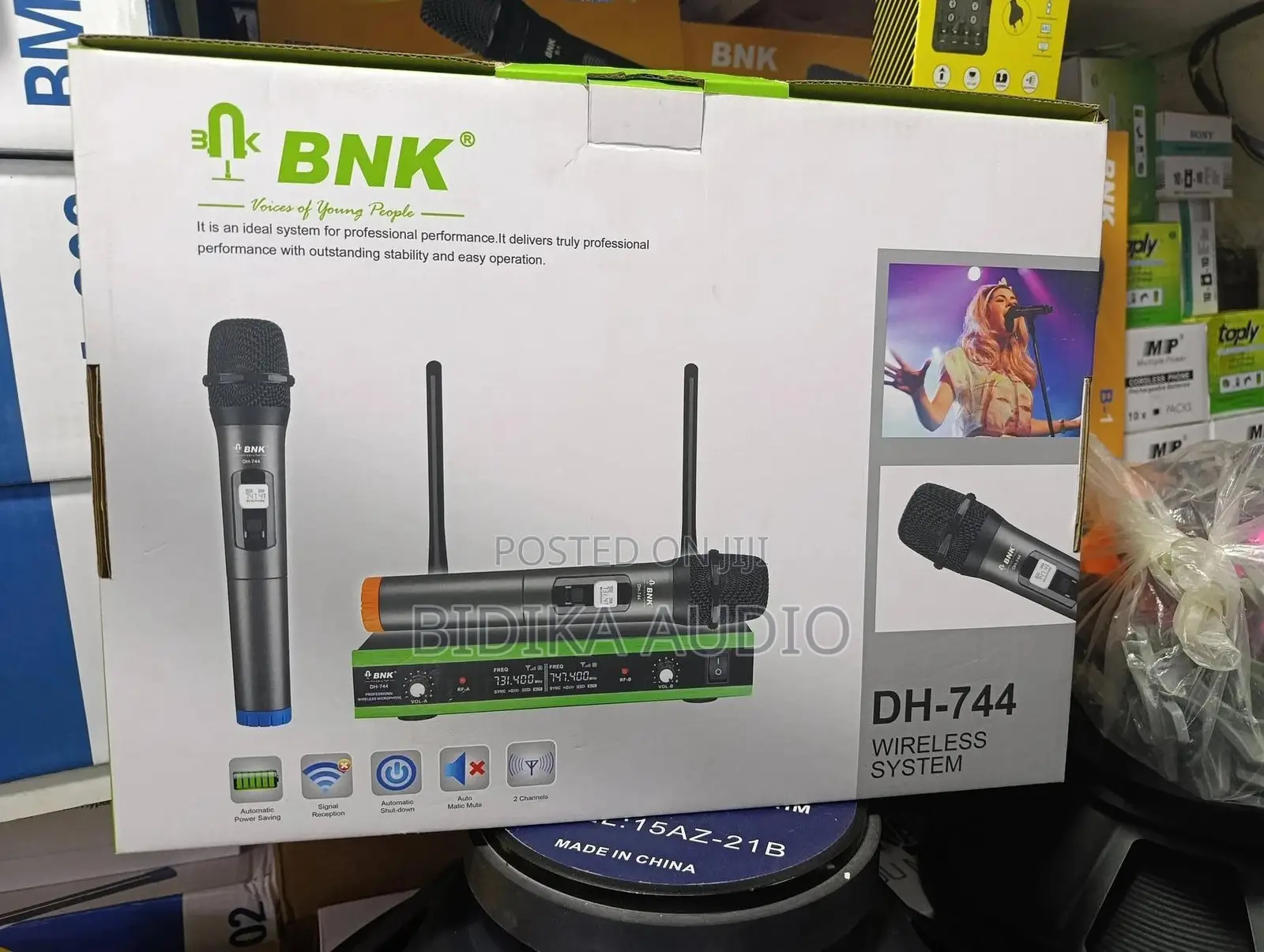 BNK DH-744 Dual Channel Wireless Microphone System