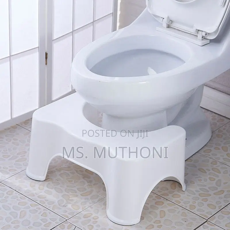Squatty Toilet Step Stool