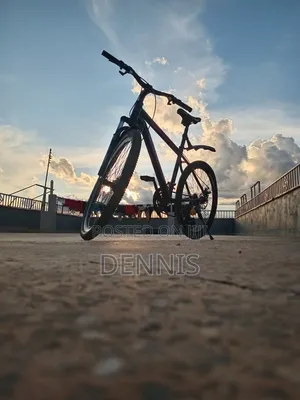 Mountain Bike Size 26