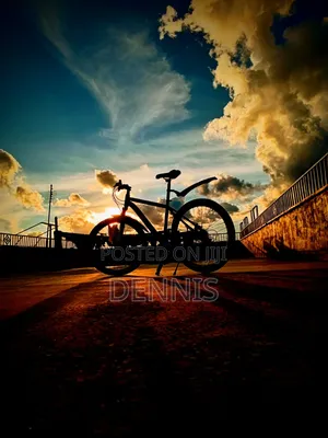 Mountain Bike Size 26
