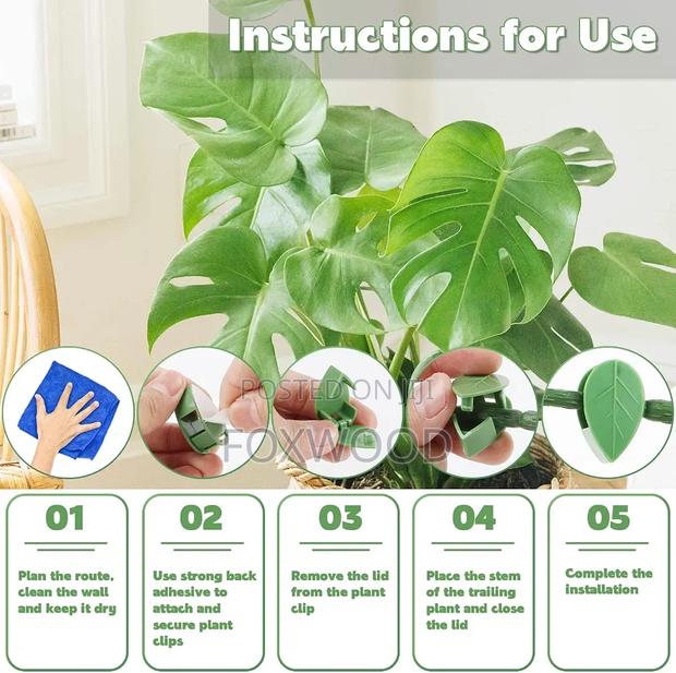 10 PCS Plant Clips for Climbing Plants - thumbnail 3