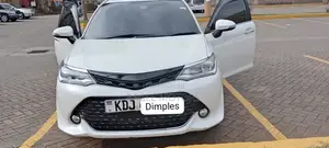 Toyota Corolla Fielder 1.5 Hybrid FWD 2015 White
