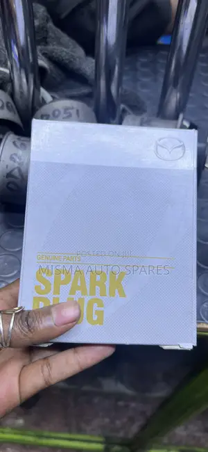 Spark Plug