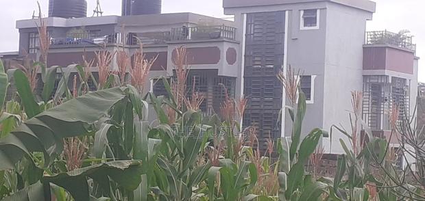Plot Available on Sale! .