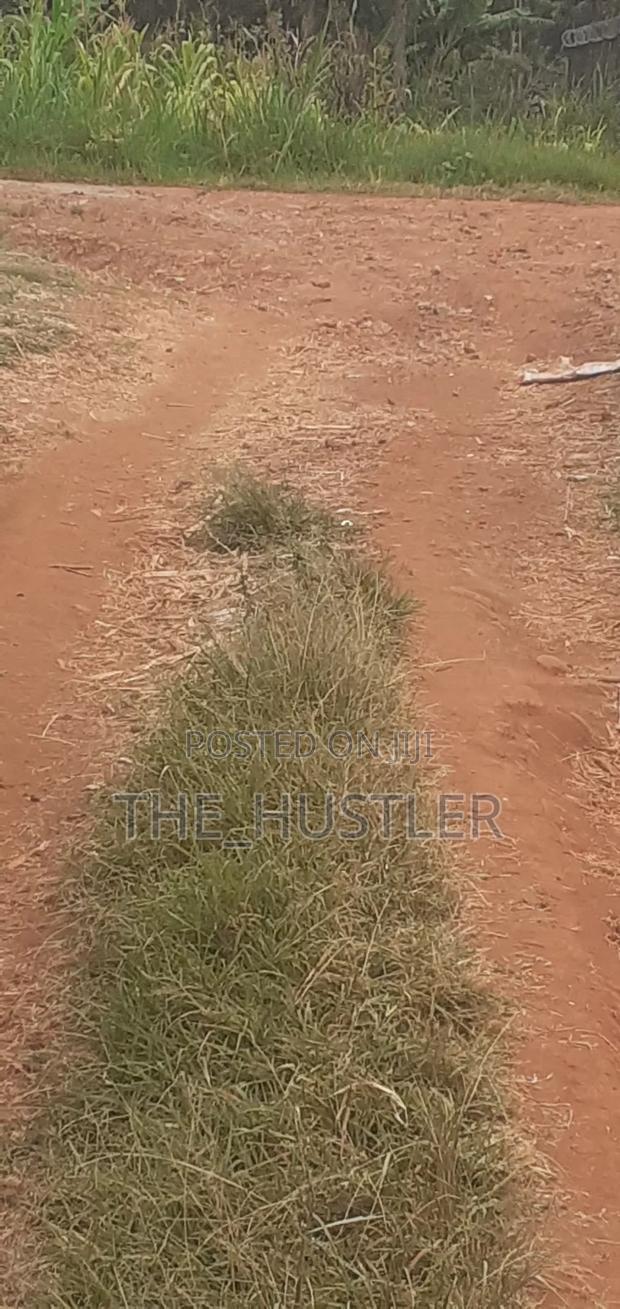 Plot Available on Sale! .
