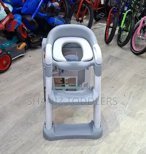 Kids Potty Training Seat With Ladder