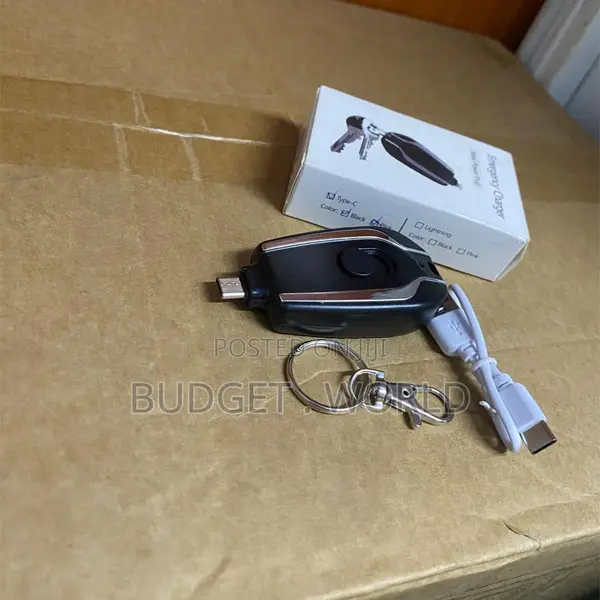 Travel-Friendly USB-C Emergency Charger Keychain for Mobile Phones