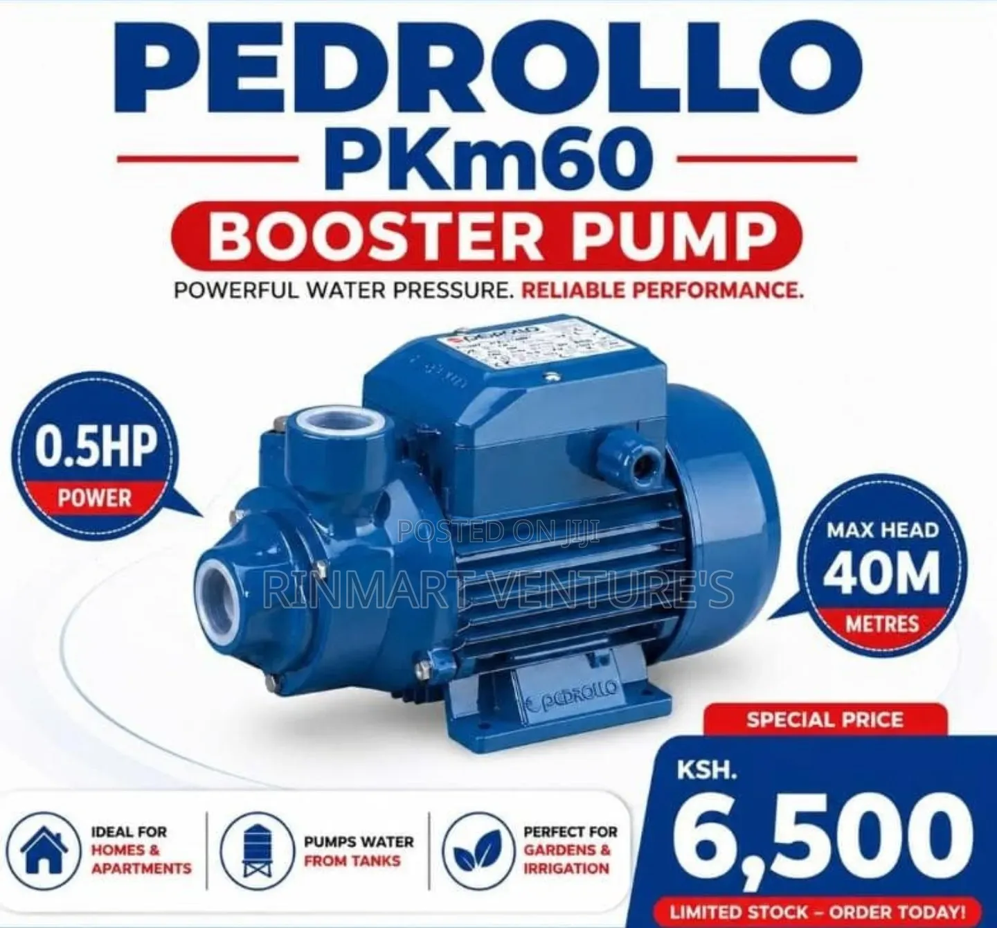 High Pressure Pedrollo Pump 0.5hp