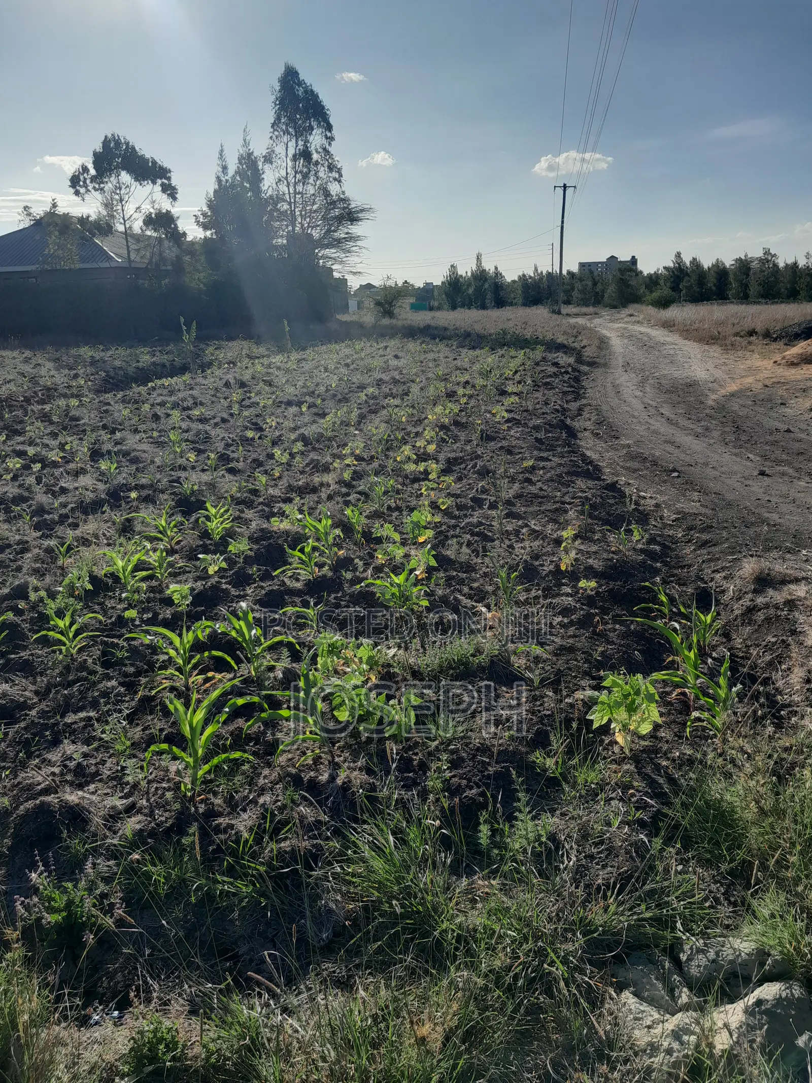 Plot for Sale (Thriving Joska).