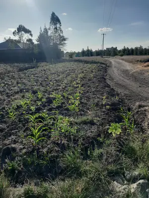 Plot for Sale (Thriving Joska).