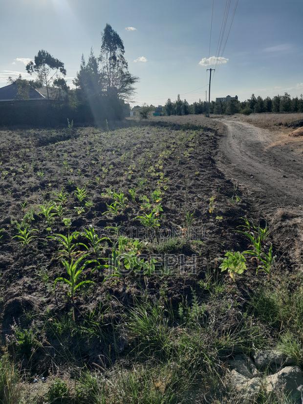 Plot for Sale (Thriving Joska). - thumbnail 2