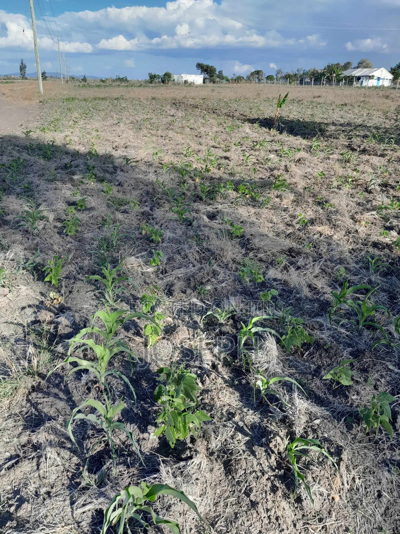 Plot for Sale (Thriving Joska).