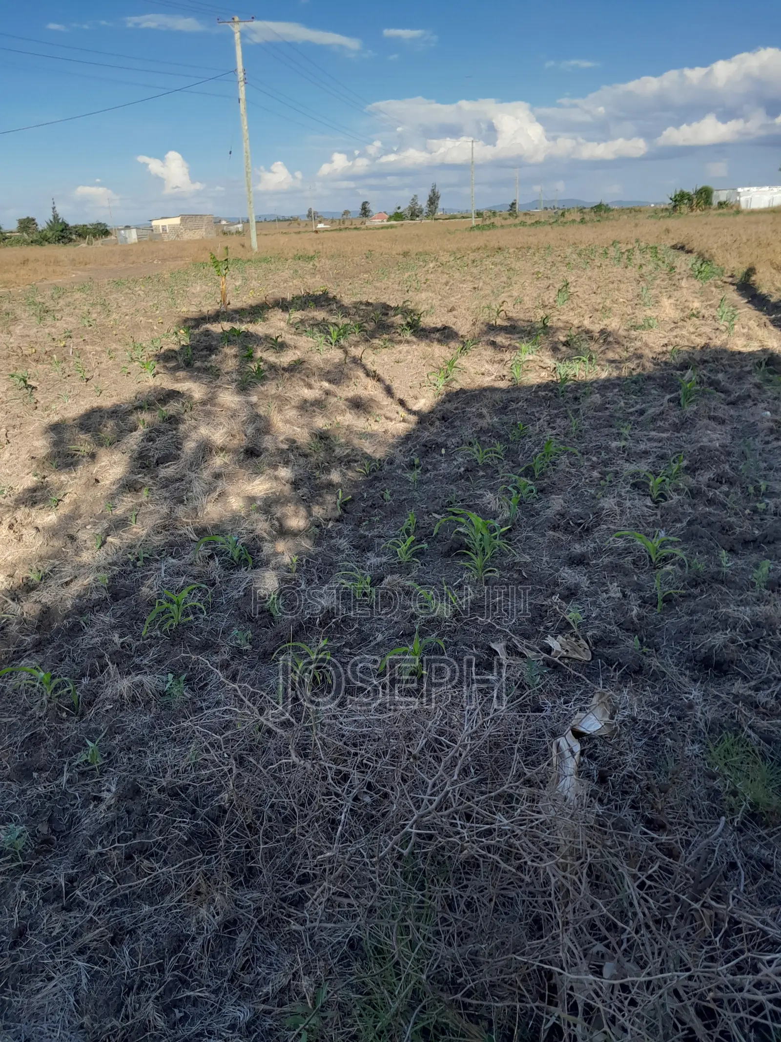 Plot for Sale (Thriving Joska).