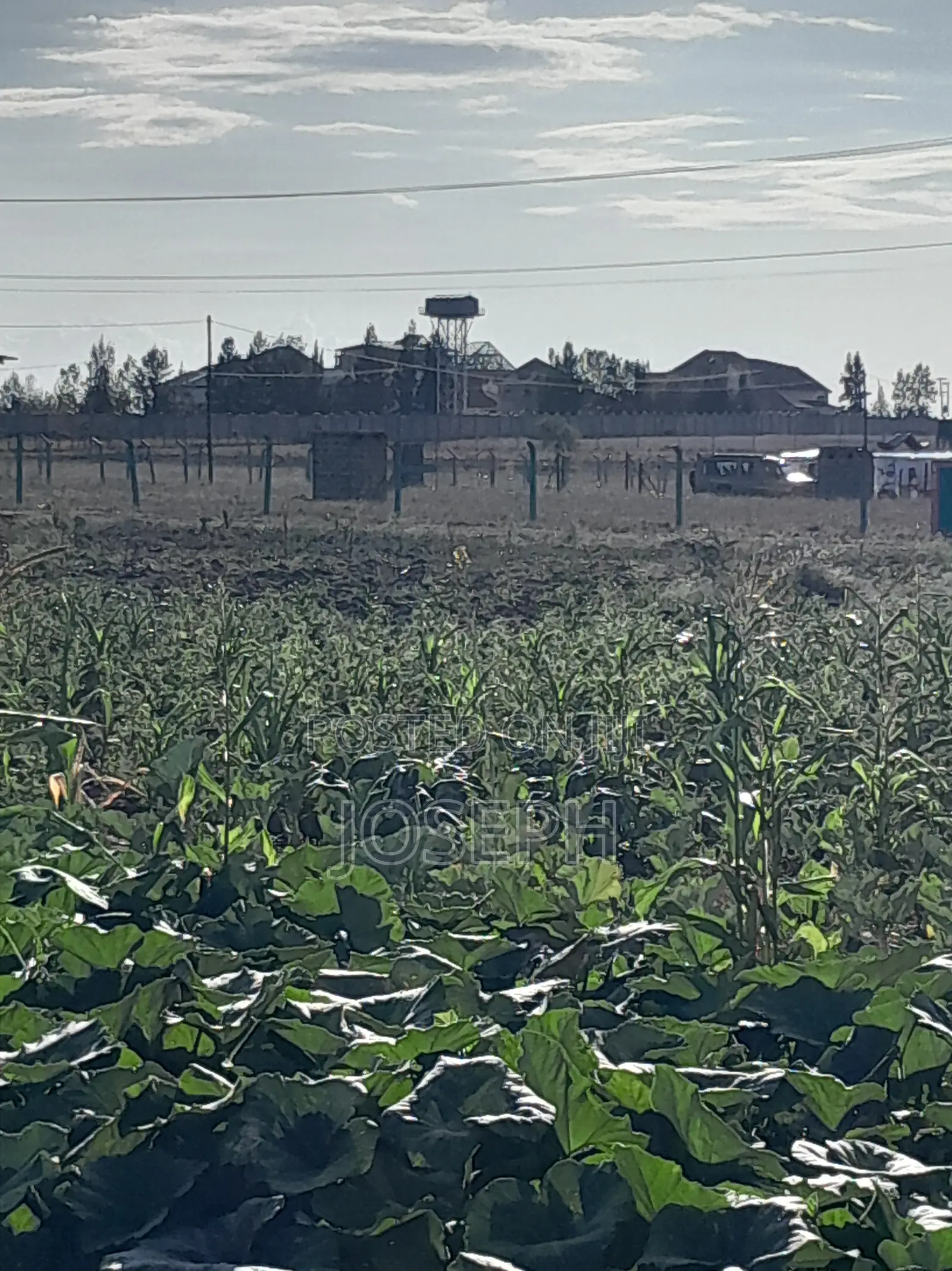 Plot for Sale (Thriving Joska).