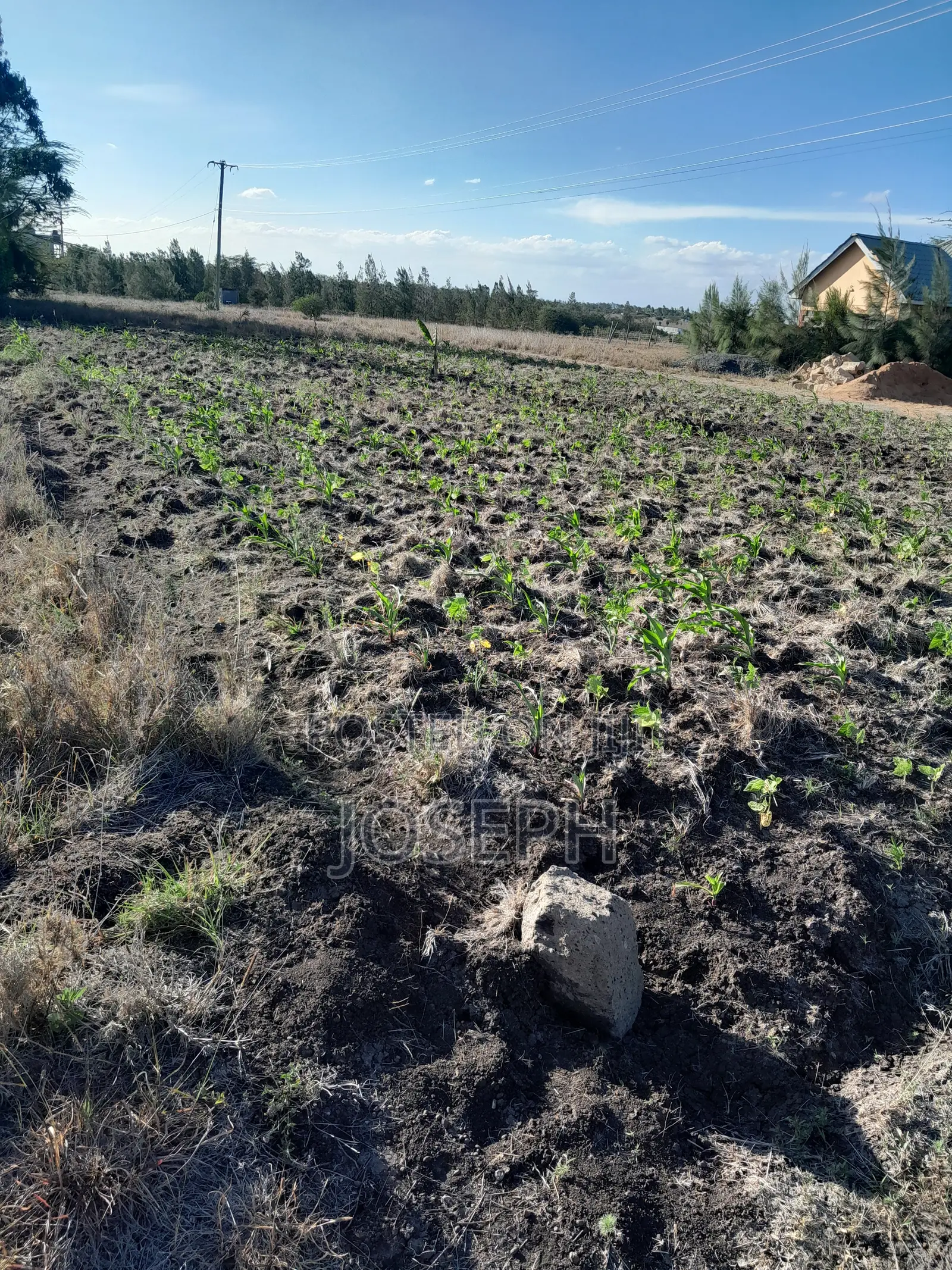 Plot for Sale (Thriving Joska).