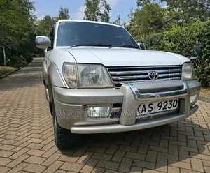 Toyota Land Cruiser Prado 2003 Silver