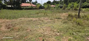 1⁄4 Plot for Sale in Ndovu Marura Carwash of Kimumu Dispensary Eldoret