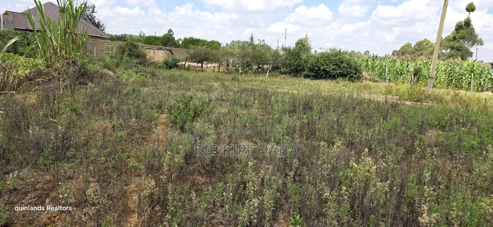 1⁄4 Plot for Sale in Ndovu Marura Carwash of Kimumu Dispensary Eldoret