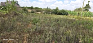 1⁄4 Plot for Sale in Ndovu Marura Carwash of Kimumu Dispensary Eldoret