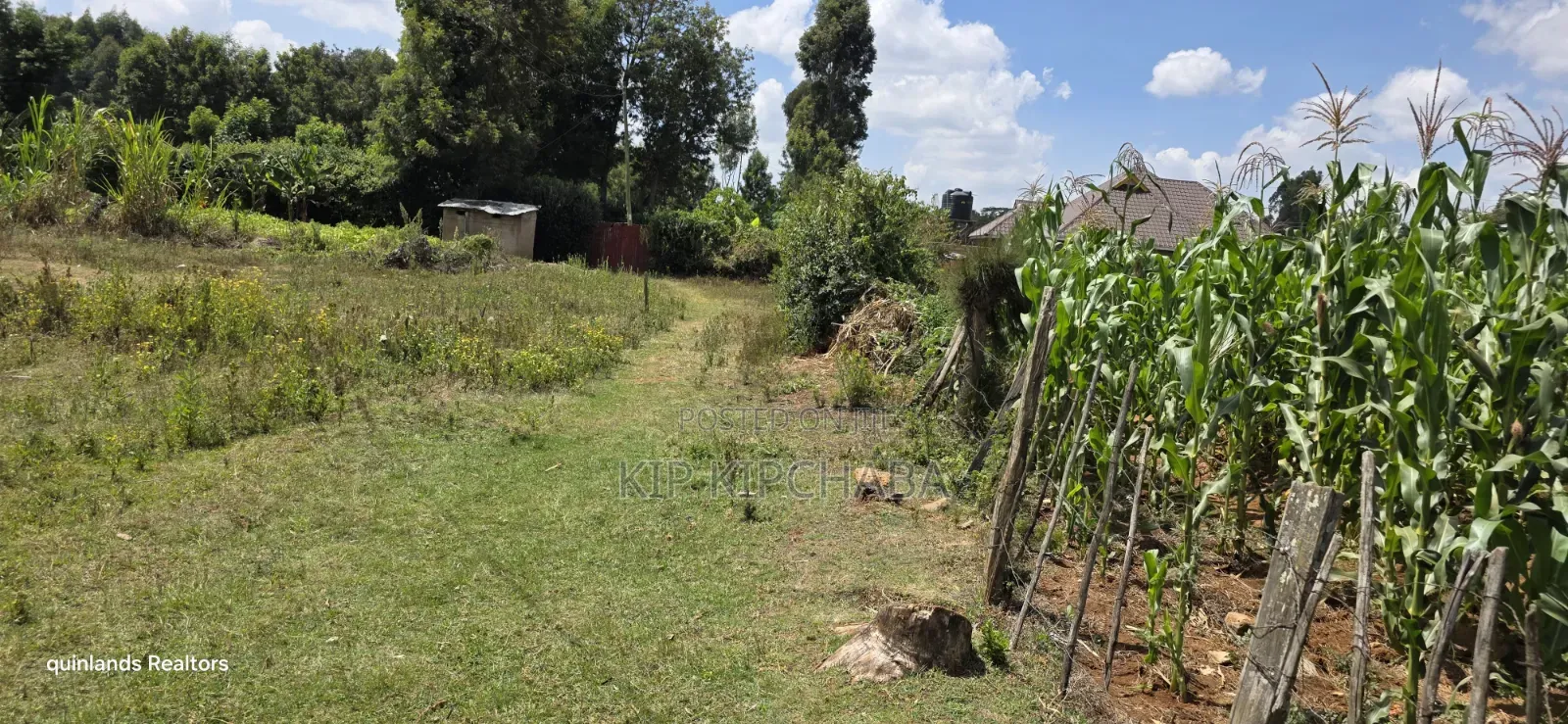 1⁄4 Plot for Sale in Ndovu Marura Carwash of Kimumu Dispensary Eldoret