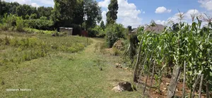 1⁄4 Plot for Sale in Ndovu Marura Carwash of Kimumu Dispensary Eldoret