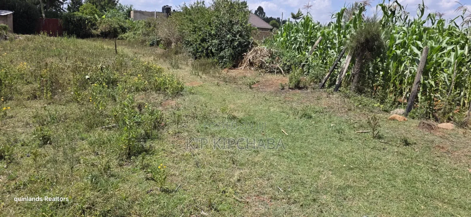1⁄4 Plot for Sale in Ndovu Marura Carwash of Kimumu Dispensary Eldoret