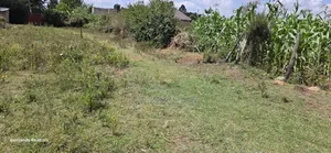 1⁄4 Plot for Sale in Ndovu Marura Carwash of Kimumu Dispensary Eldoret