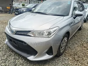 Toyota Corolla Fielder 2019 Silver